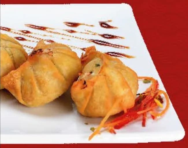 Trouxinhas fritas com molho e cenoura sobre prato branco